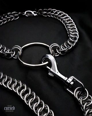 Laisse BDSM et kinky en acier inoxydable
